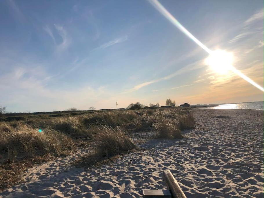 Neue Ferienwohnung Kuestennaehe Mit Terrasse 3Km Zum Strand Osdorf 외부 사진