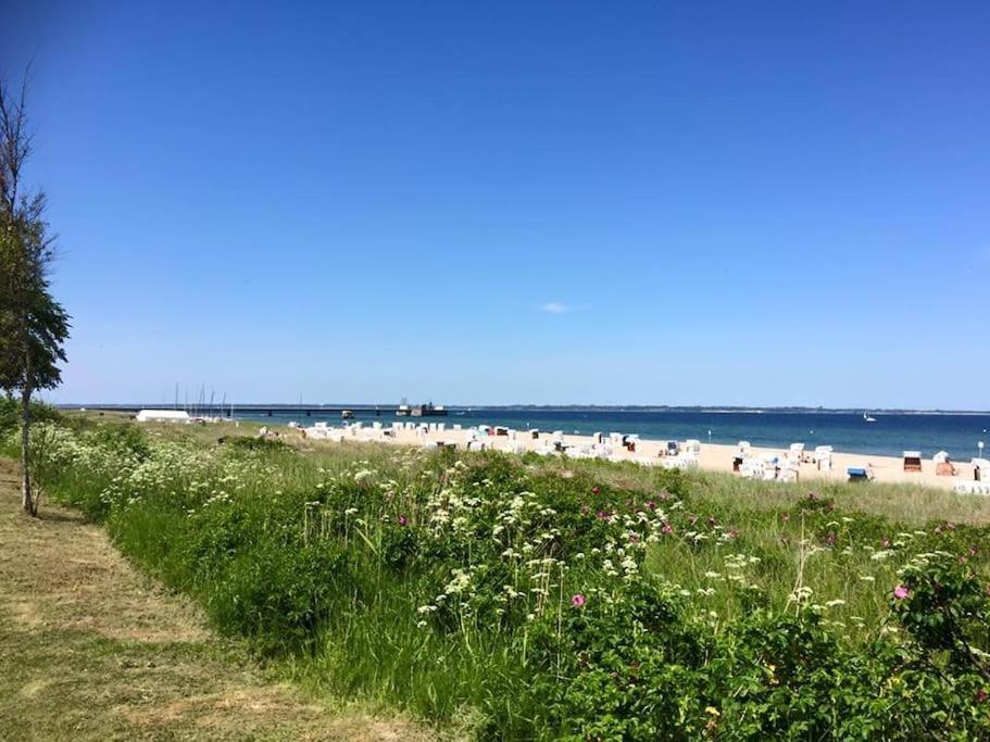 Neue Ferienwohnung Kuestennaehe Mit Terrasse 3Km Zum Strand Osdorf 외부 사진